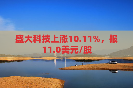 盛大科技上涨10.11%，报11.0美元/股