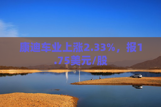 康迪车业上涨2.33%，报1.75美元/股