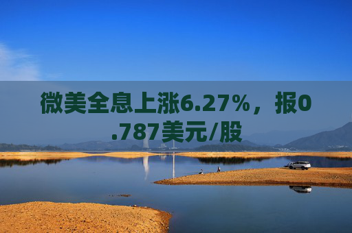 微美全息上涨6.27%，报0.787美元/股