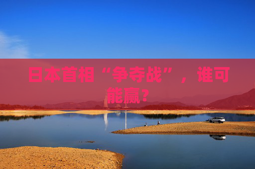 日本首相“争夺战”，谁可能赢？