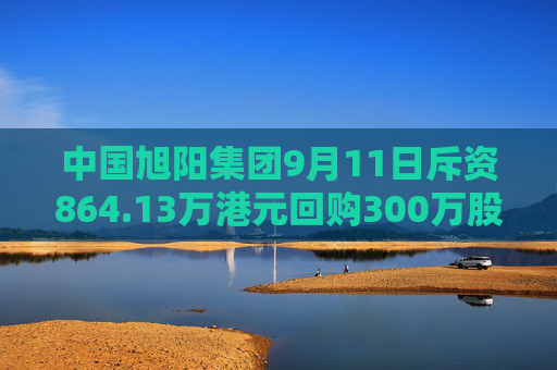 中国旭阳集团9月11日斥资864.13万港元回购300万股