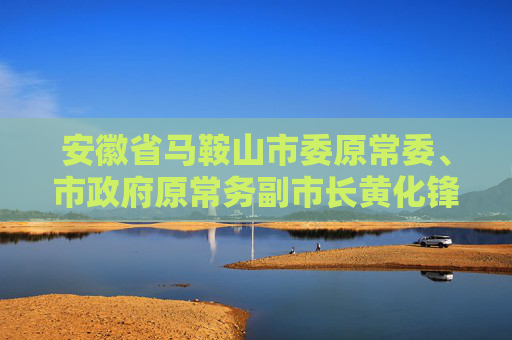 安徽省马鞍山市委原常委、市政府原常务副市长黄化锋被开除党籍和公职