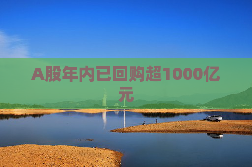 A股年内已回购超1000亿元