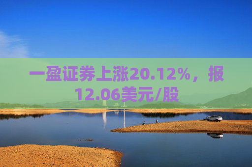 一盈证券上涨20.12%，报12.06美元/股