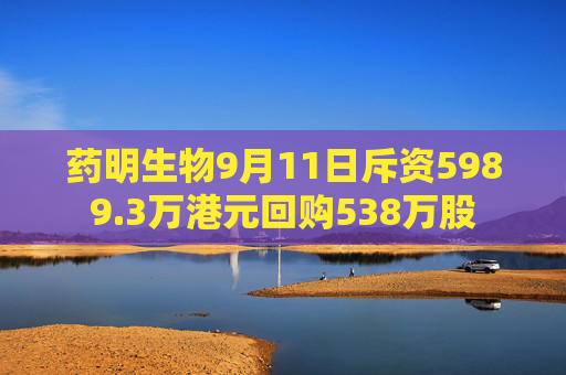 药明生物9月11日斥资5989.3万港元回购538万股