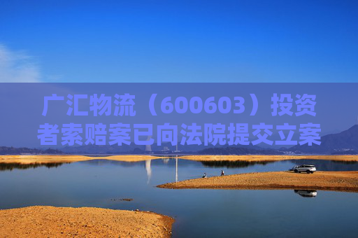 广汇物流（600603）投资者索赔案已向法院提交立案