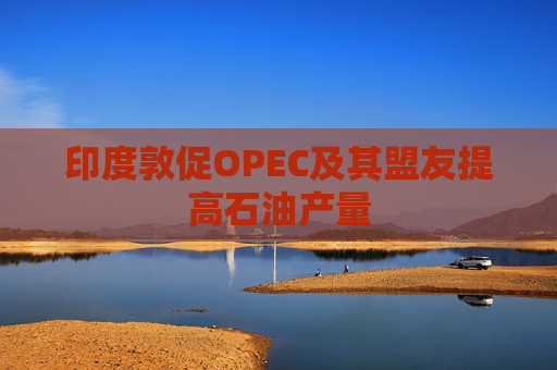 印度敦促OPEC及其盟友提高石油产量