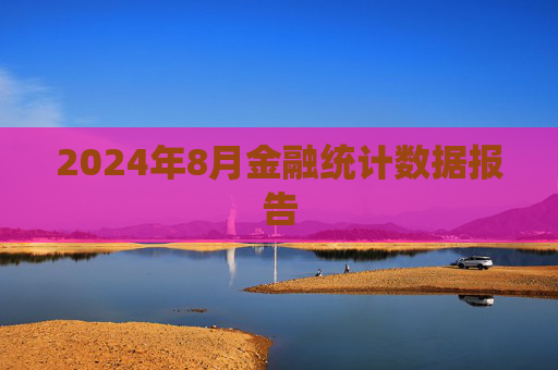 2024年8月金融统计数据报告