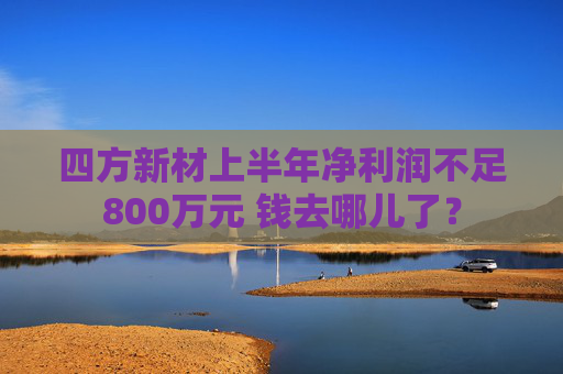 四方新材上半年净利润不足800万元 钱去哪儿了？