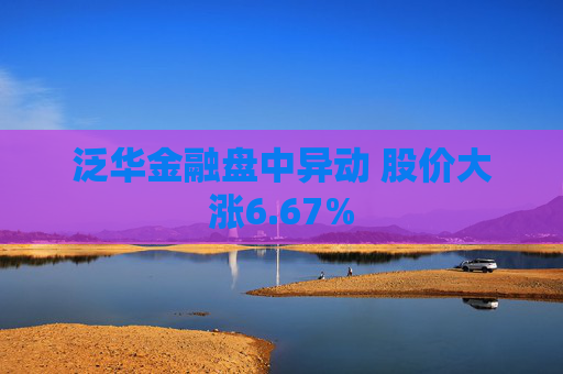 泛华金融盘中异动 股价大涨6.67%