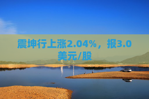 震坤行上涨2.04%，报3.0美元/股