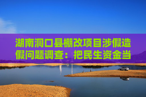 湖南洞口县棚改项目涉假造假问题调查：把民生资金当“唐僧肉”