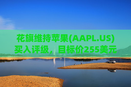 花旗维持苹果(AAPL.US)买入评级，目标价255美元