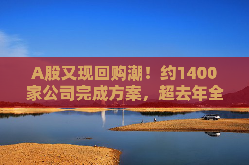 A股又现回购潮！约1400家公司完成方案，超去年全年！