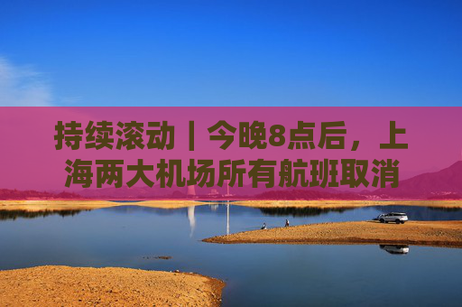 持续滚动｜今晚8点后，上海两大机场所有航班取消