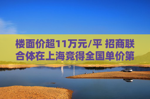 楼面价超11万元/平 招商联合体在上海竞得全国单价第二高地王