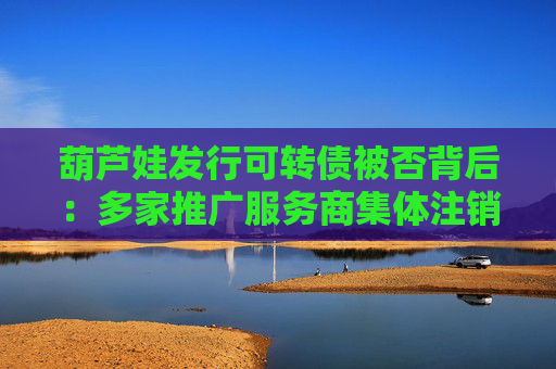 葫芦娃发行可转债被否背后：多家推广服务商集体注销 业绩增长多为“纸面富贵”