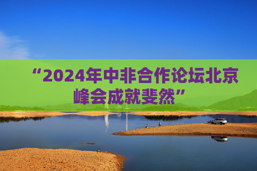 “2024年中非合作论坛北京峰会成就斐然”