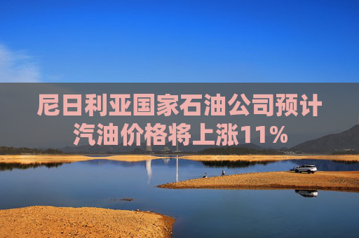 尼日利亚国家石油公司预计汽油价格将上涨11%