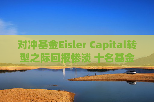 对冲基金Eisler Capital转型之际回报惨淡 十名基金经理离职