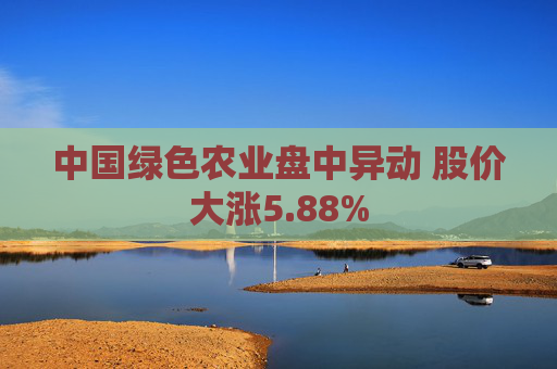 中国绿色农业盘中异动 股价大涨5.88%