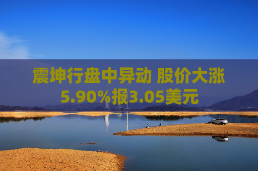 震坤行盘中异动 股价大涨5.90%报3.05美元