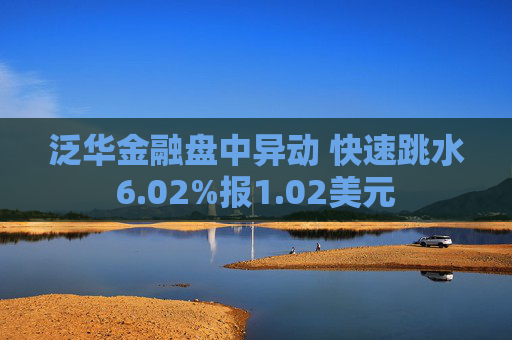 泛华金融盘中异动 快速跳水6.02%报1.02美元