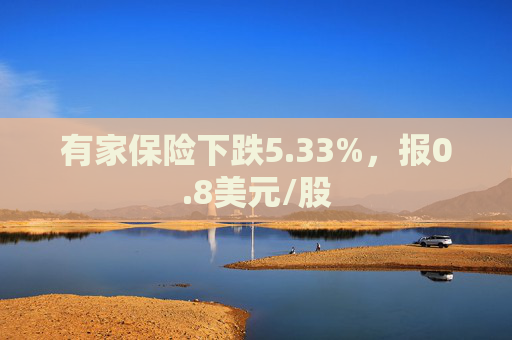 有家保险下跌5.33%，报0.8美元/股