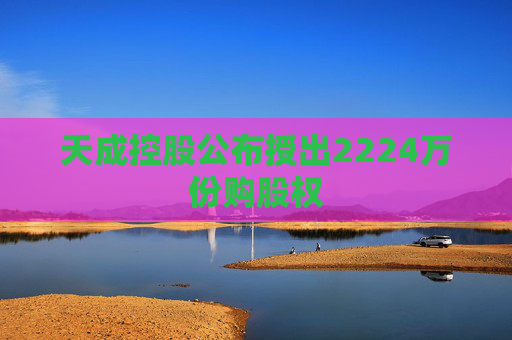 天成控股公布授出2224万份购股权