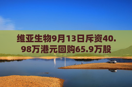 维亚生物9月13日斥资40.98万港元回购65.9万股