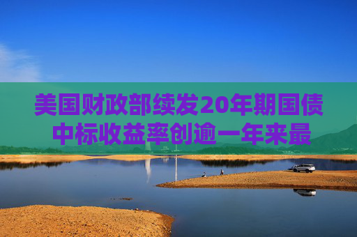 美国财政部续发20年期国债 中标收益率创逾一年来最低