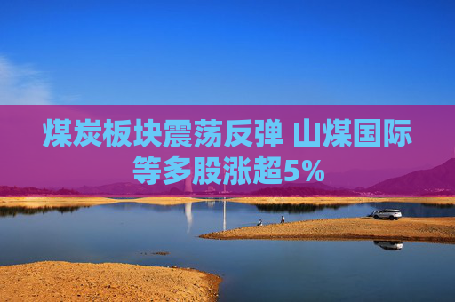 煤炭板块震荡反弹 山煤国际等多股涨超5%