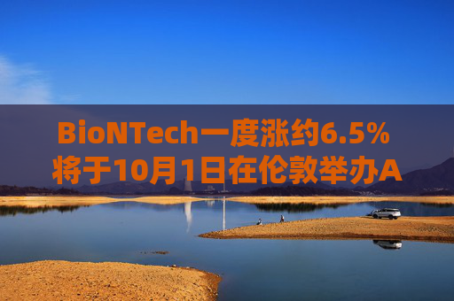 BioNTech一度涨约6.5% 将于10月1日在伦敦举办AI日活动