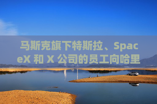 马斯克旗下特斯拉、SpaceX 和 X 公司的员工向哈里斯捐款 而他本人支持特朗普