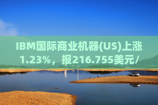 IBM国际商业机器(US)上涨1.23%，报216.755美元/股