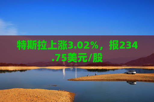 特斯拉上涨3.02%，报234.75美元/股