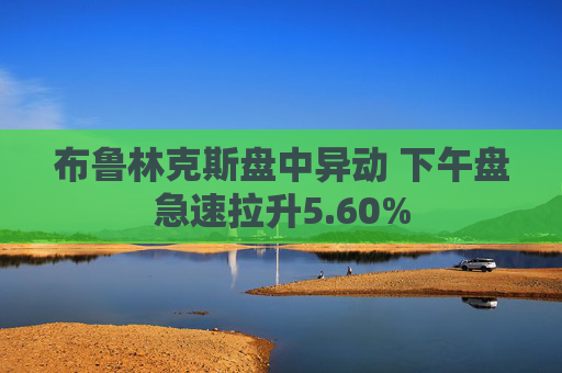 布鲁林克斯盘中异动 下午盘急速拉升5.60%