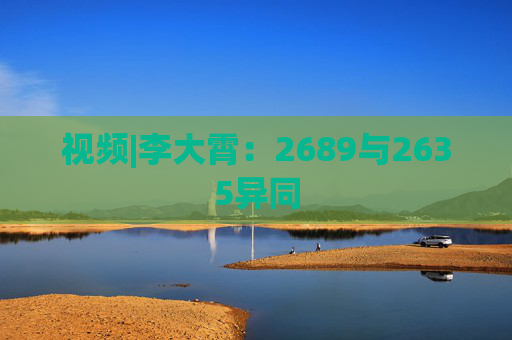 视频|李大霄：2689与2635异同