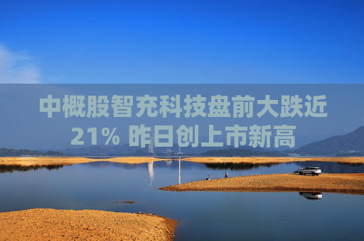 中概股智充科技盘前大跌近21% 昨日创上市新高