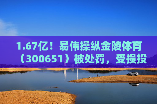 1.67亿！易伟操纵金陵体育（300651）被处罚，受损投资者能否主张索赔？