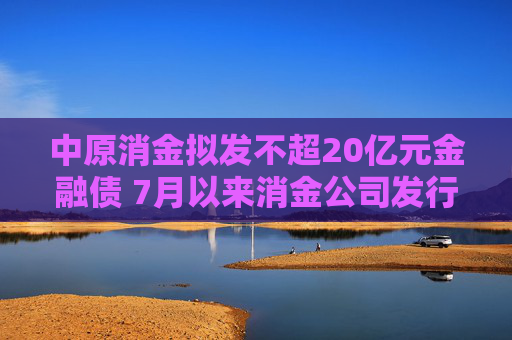 中原消金拟发不超20亿元金融债 7月以来消金公司发行金融债规模已逼近上半年