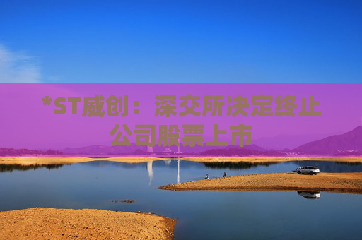 *ST威创：深交所决定终止公司股票上市