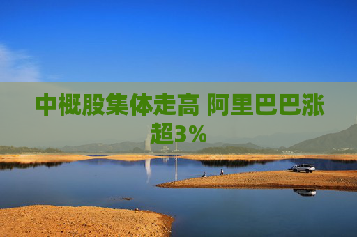 中概股集体走高 阿里巴巴涨超3%