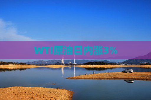 WTI原油日内涨3%