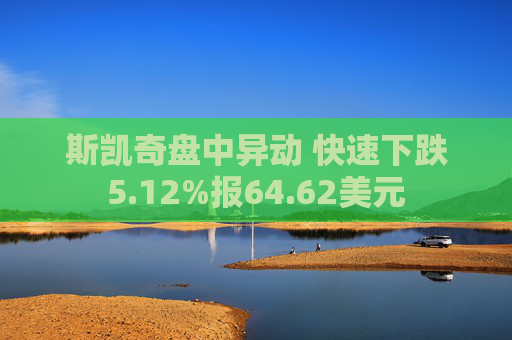 斯凯奇盘中异动 快速下跌5.12%报64.62美元