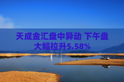 天成金汇盘中异动 下午盘大幅拉升5.58%