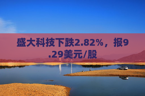 盛大科技下跌2.82%，报9.29美元/股