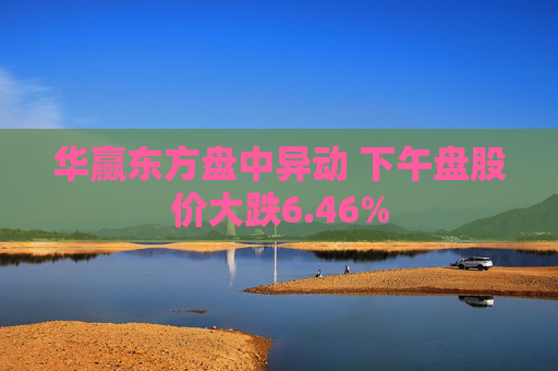 华赢东方盘中异动 下午盘股价大跌6.46%