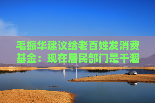 毛振华建议给老百姓发消费基金：现在居民部门是干涸的，要大水漫灌