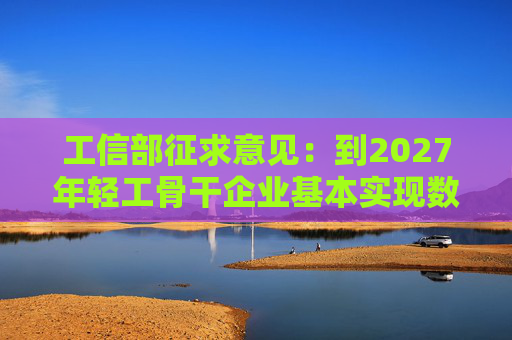 工信部征求意见：到2027年轻工骨干企业基本实现数字化改造全覆盖